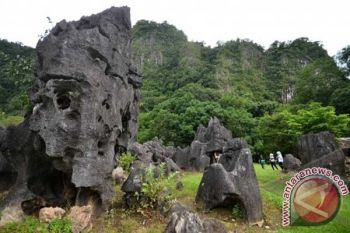 Walhi Sulsel minta pemerintah tegas lindungi kawasan karst 