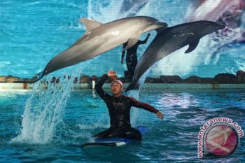 Ancol expects 500% increase in visitors