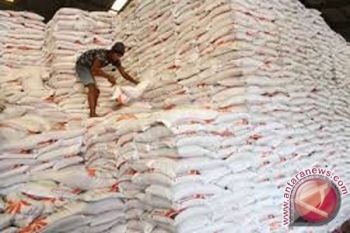 Bulog Jamin Stok Beras Di Sulteng Aman