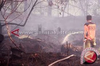 WWF: Kebakaran hutan indikasi tata kelola lemah