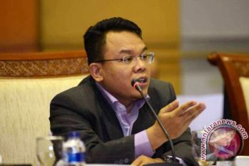 DPR: Perkuat payung hukum perlindungan anak