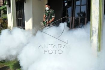 Kasus Meningkat, Masyarakat Diimbau Waspadi Penyebaran DBD