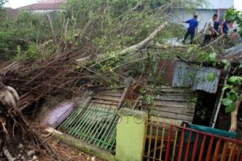 Puluhan Rumah di Cilacap Rusak Akibat Langkisau