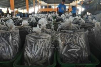Rp4,9 Miliar, Target PAD TPI Pekalongan