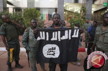 Kelompok bersenjata di Mali bunuh 31 orang