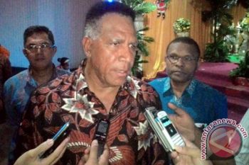 Polisi selidiki penyebab kematian ikan di Perairan Timika 