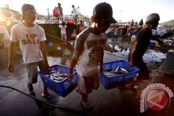 Harga ikan cakalang di Sulut Naik