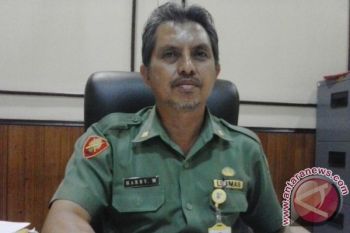 Pemkot Bangun 3 Titik Drainase Atasi Banjir