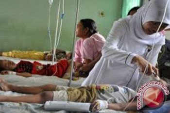 Dinkes: Dua Wilayah Di Palu Rawan DBD