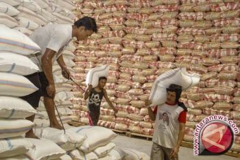 Mentan: Persediaan Beras Nasional Cukup untuk Tujuh Bulan