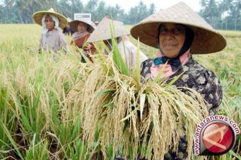 Gubernur Sumarsono Optimistis Sulut Swasembada Pangan 