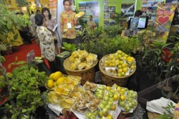 Gubernur: Agrobisnis Berani Bersaing dengan Produk Luar