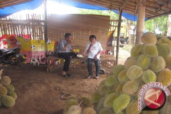 Buah Durian "banjiri" Bandarlampung 