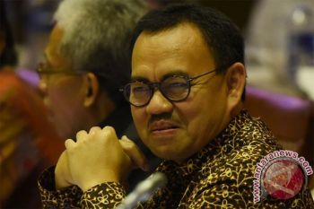 Menteri ESDM: Tunggu Tim Evaluasi Harga Saham Freeport