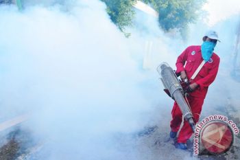 Fogging Madiun