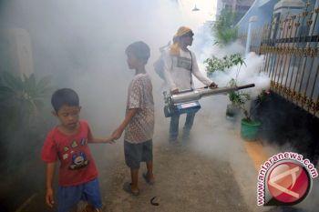 Demam Tinggi Mendadak Dicurigai Demam Berdarah Penyebabnya
