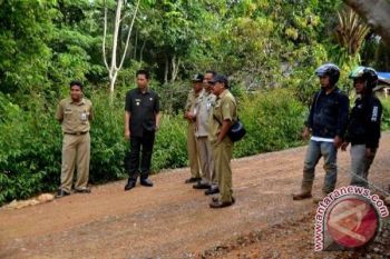 Bupati Barut Tinjau Jalan Desa Eks Transmigrasi 