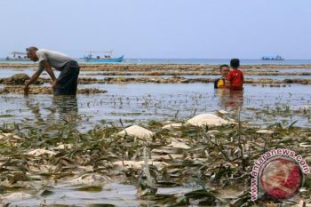 Pariwisata Indonesia Kian "Moncer" Meski Diterjang Teror