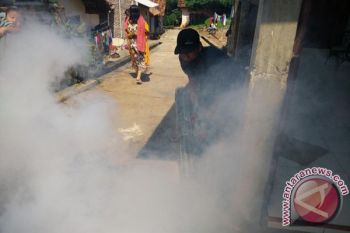 Per 29 Januari 2019, penderita DBD di Lampung capai  1.061 orang