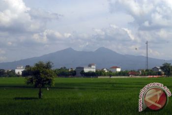 Lampung-DKI Targetkan Kerja sama Pangan Terealisasi Juni 