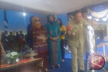 Wagub Sultra Canangkan Kampung KB Di Konawe 