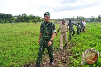 Aster Kasdam  Cenderawasih tinjau lahan sawah di Sorong