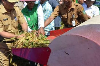 Kurangi Impor Beras, Pj Bupati Minta Petani Tidak Alihfungsikan Lahan