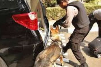 Karung Diduga Berisi Narkoba, Ini Hasil Endusan Anjing Belgian Malanois