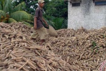 Pemprov Riau Diminta Meluruskan, Sagu Tidak Bisa Menjadi Makanan Pokok