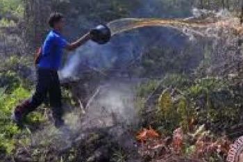 Titik Panas Sumatera Tertinggi Hari ini, Riau Ada 28 Hotspots