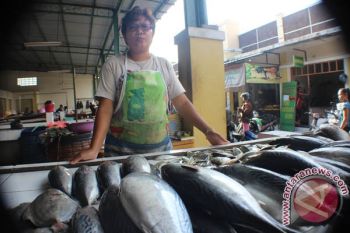 DKP memperbesar ukuran benih ikan yang ditebar 