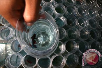 Produksi Ikan Cupang Terkendala Pakan