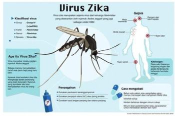 Jangan panik terhadap virus Zika