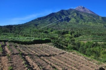 Waspadai Bencana Longsor di Lereng Merapi-Merbabu 