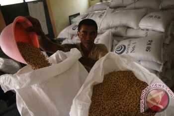 Harga Kedelai Impor di Kudus Turun