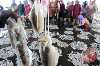 Aktivitas Ikan di TPI Pekalongan Kembali Ramai