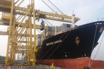 Bongkar Muat Tiga Kapal Bersamaan Di Semarang