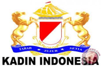Kadin: Dunia Usaha Di Sulut Perlu Pendampingan 