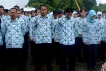 436 Orang Pegawai Honorer di Boyolali Diangkat PNS