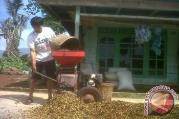 Kopi Indonesia Jangan Kalah dengan Vietnam 