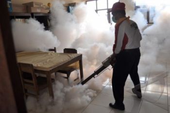 Dua Kelurahan di Temanggung KLB DBD