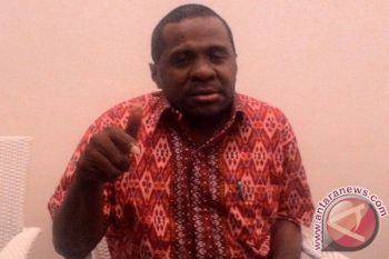 Akademisi: Papua penting bagi Amerika karena Freeport 