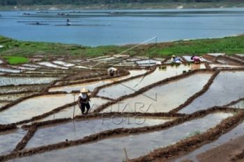 Bupati Ajak Masyarakat Kerja Sama Bangun Wonosobo