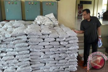 Distan DIY tingkatkan pengawasan cegah pupuk oplosan