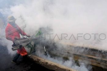 Delapan Orang Meninggal Akibat DBD di Banyumas