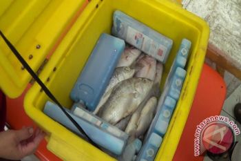 Wabup: KPI harus bersatu hindari permainan pengepul