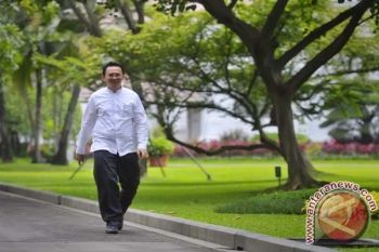 DPP Hanura dan PAN Dukung Ahok Jadi Gubernur DKI