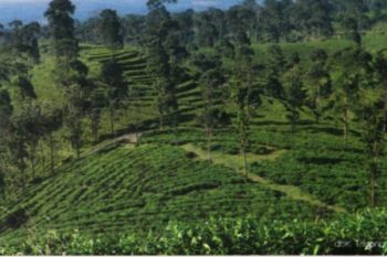 Hadapi MEA, Masyarakat Batang Didorong Optimalkan Industri Pariwisata 