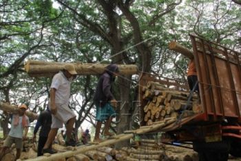 Asmindo Klateng Wajibkan SVLK IRT Sektor Hulu