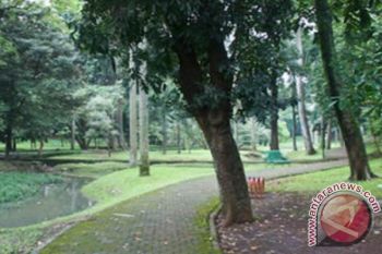 Seruyan Alokasikan Rp2 Miliar Untuk Ruang Terbuka Hijau